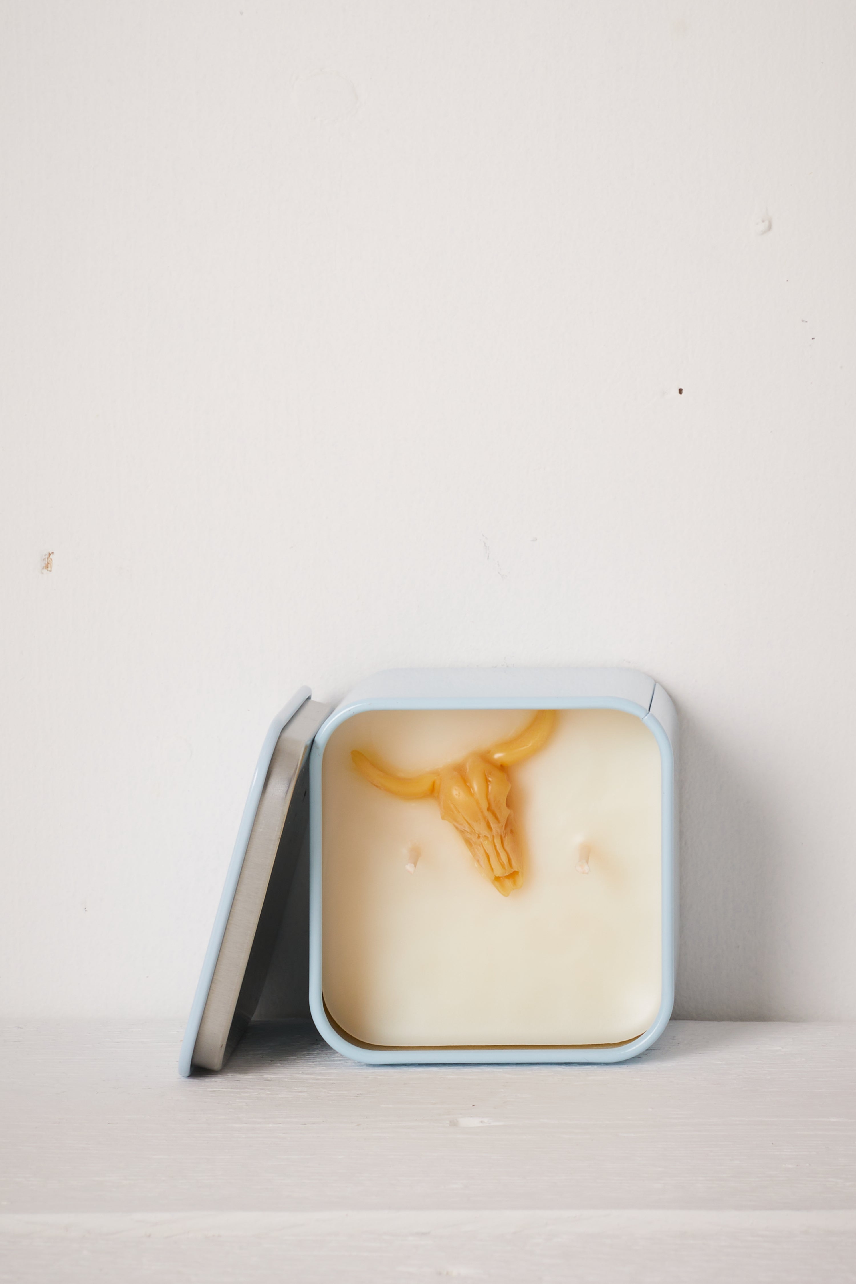 DESERT CACTUS CANDLE - CACTUS FLOWER AND JADE
( BABY BLUE TIN)