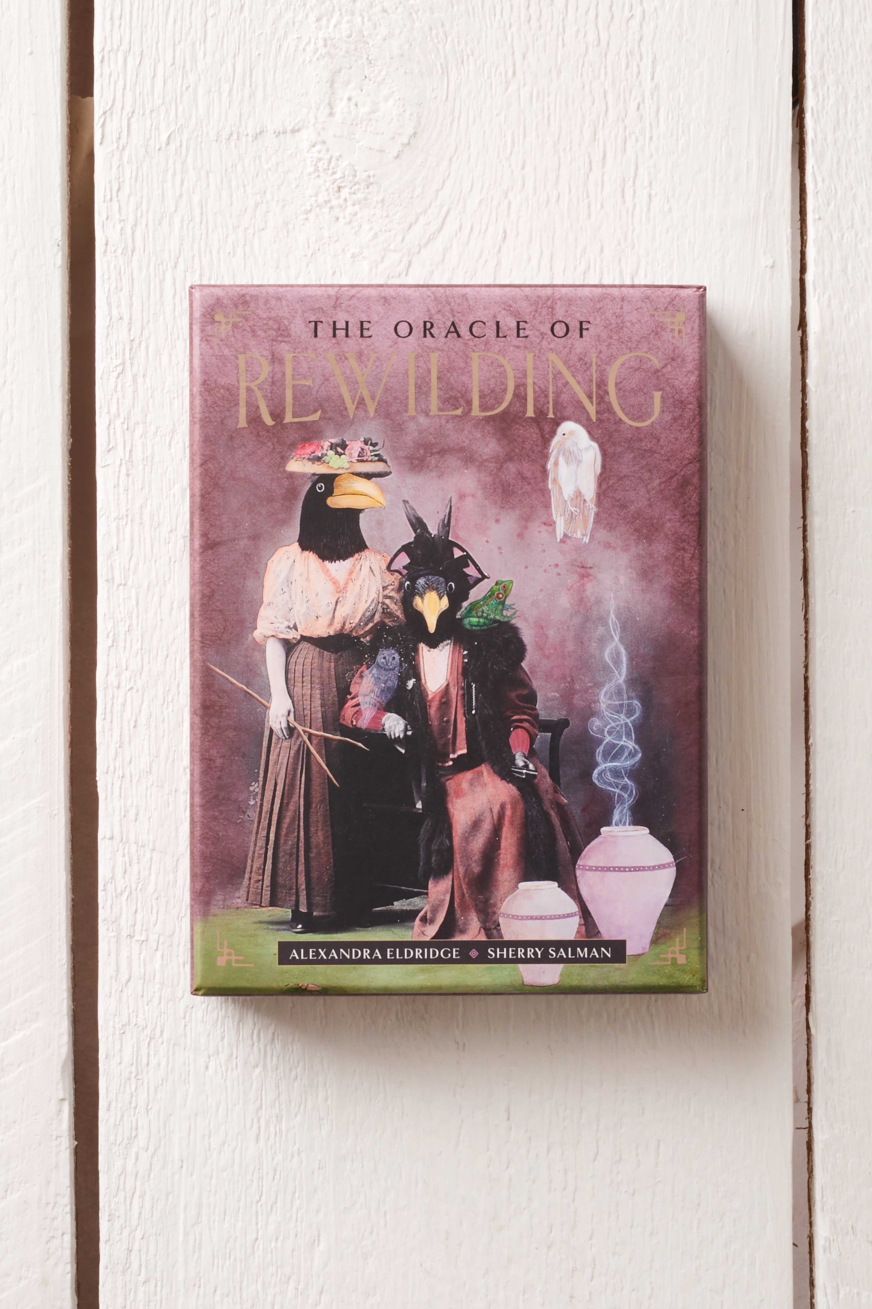 THE ORACLE OF REWILDING