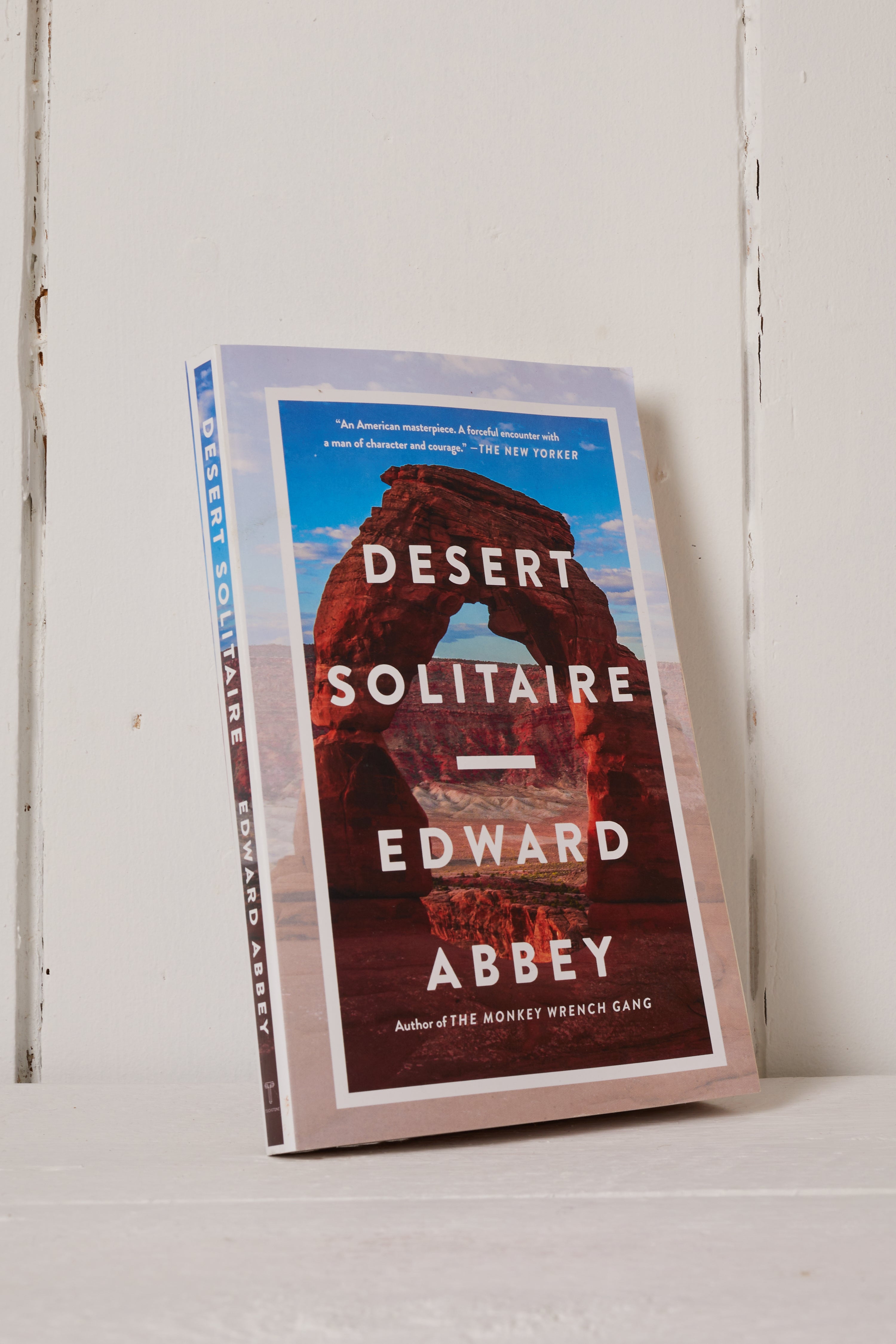 DESERT SOLITAIRE BOOK