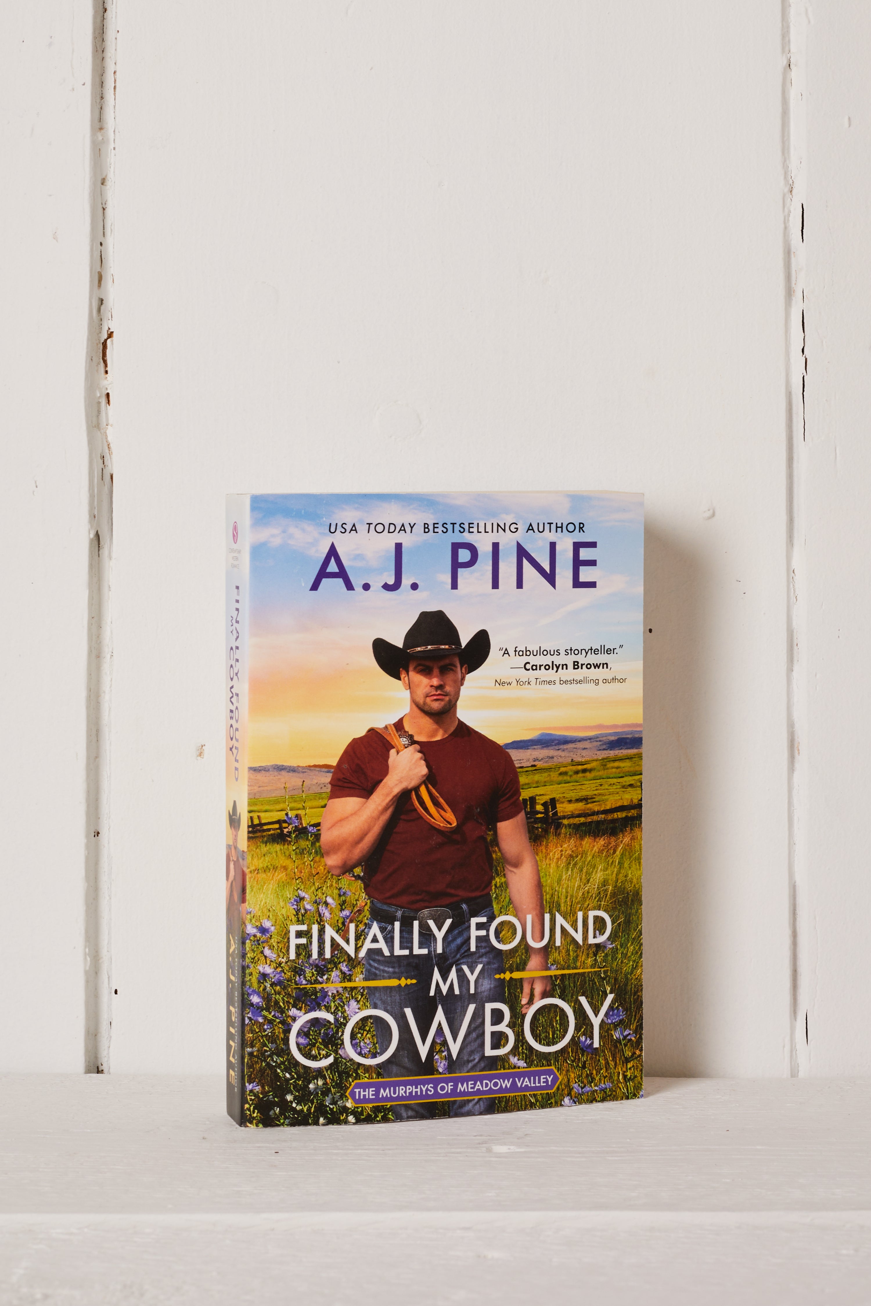 FINALLY FOUND MY COWBOY BOOK