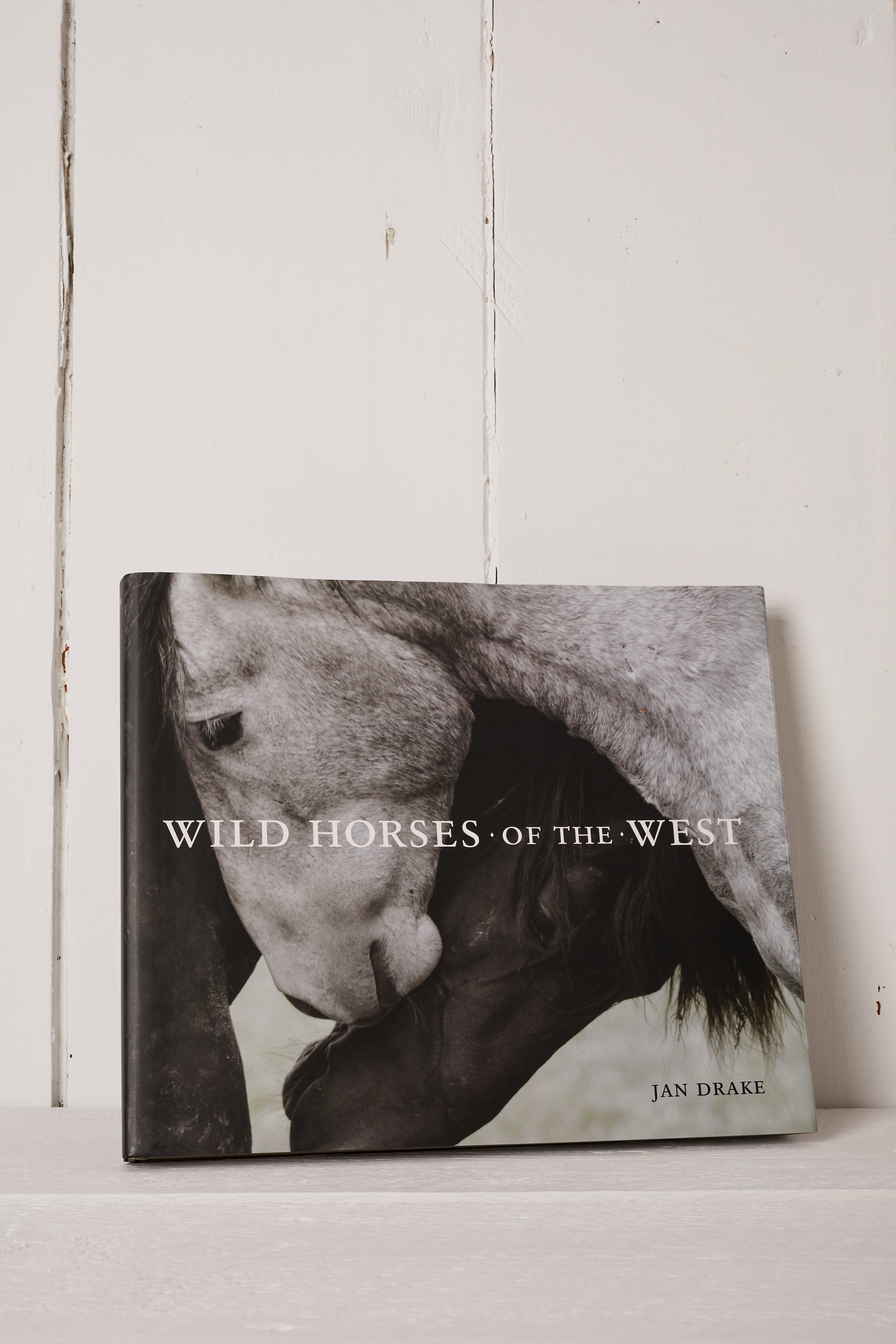WILD HORSES OF THE WEST