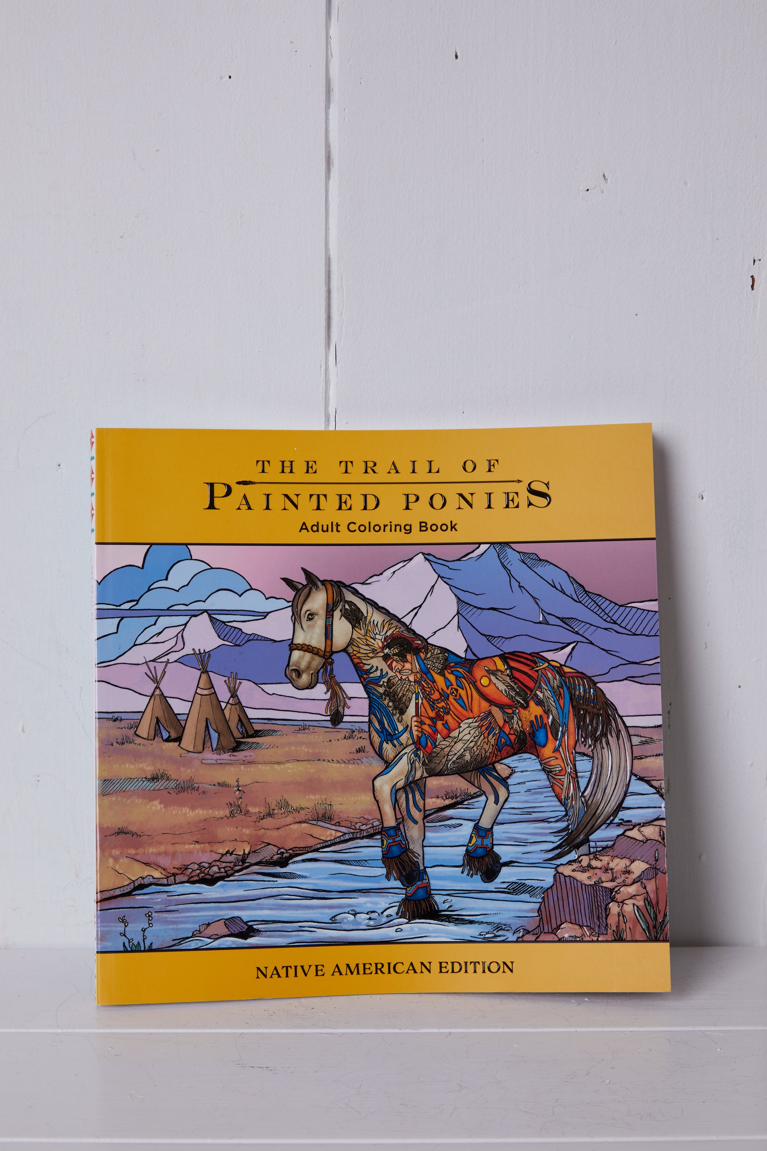 PAINTED PONIES COLORING BOOK