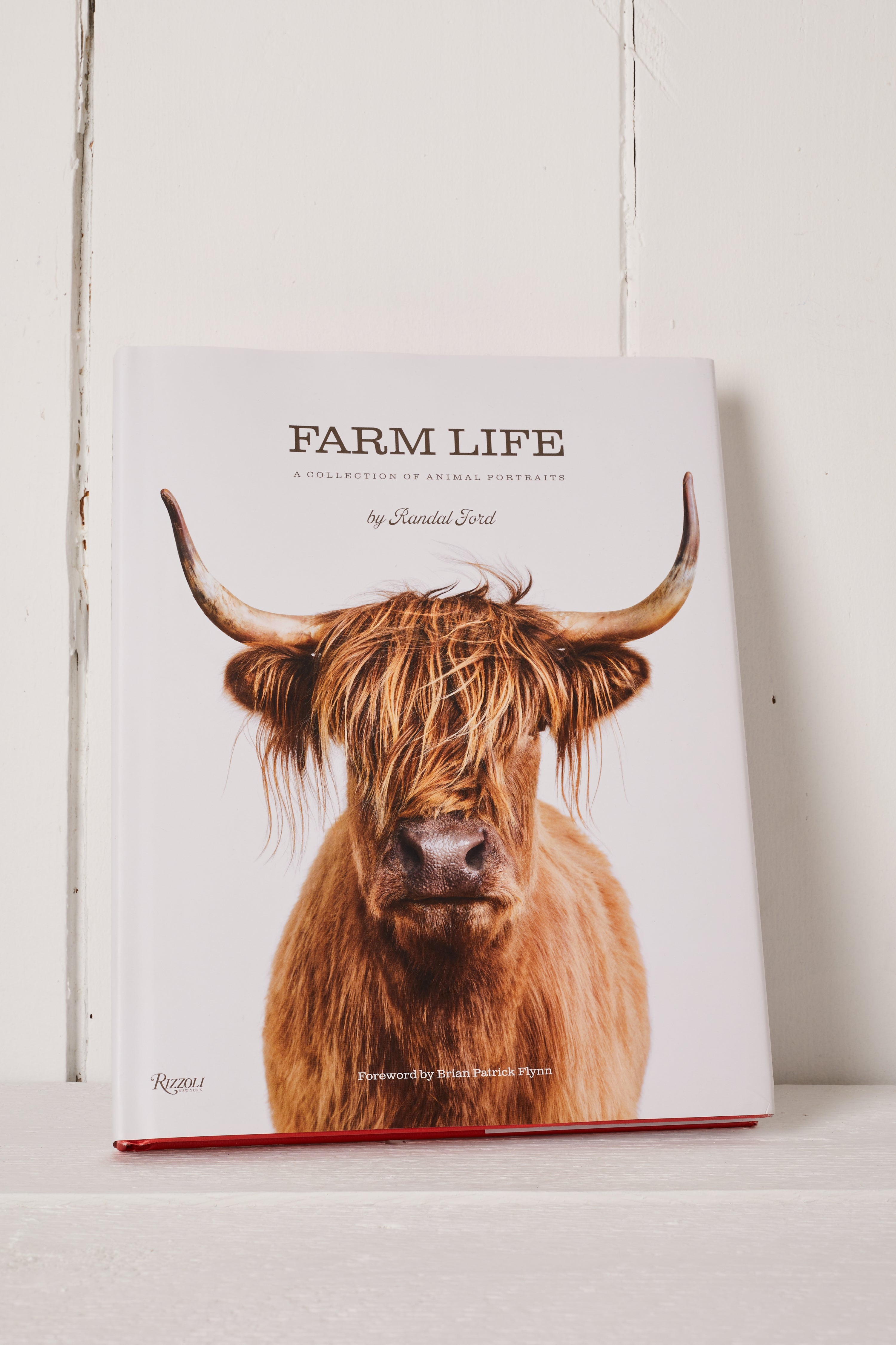 FARM LIFE, A COLLECTION OF ANIMAL PORTRAITS