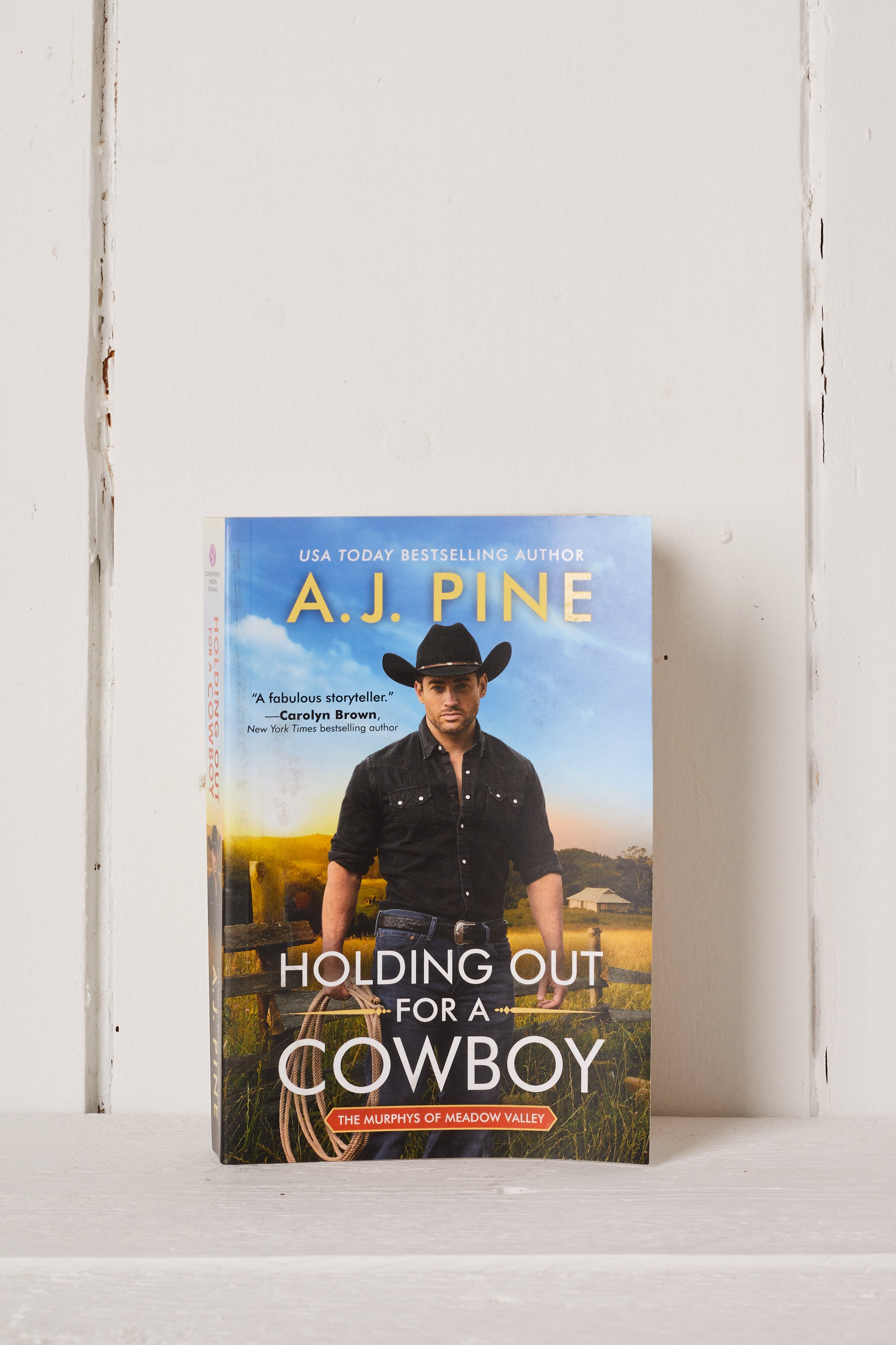 HOLDING OUT FOR A COWBOY BOOK
