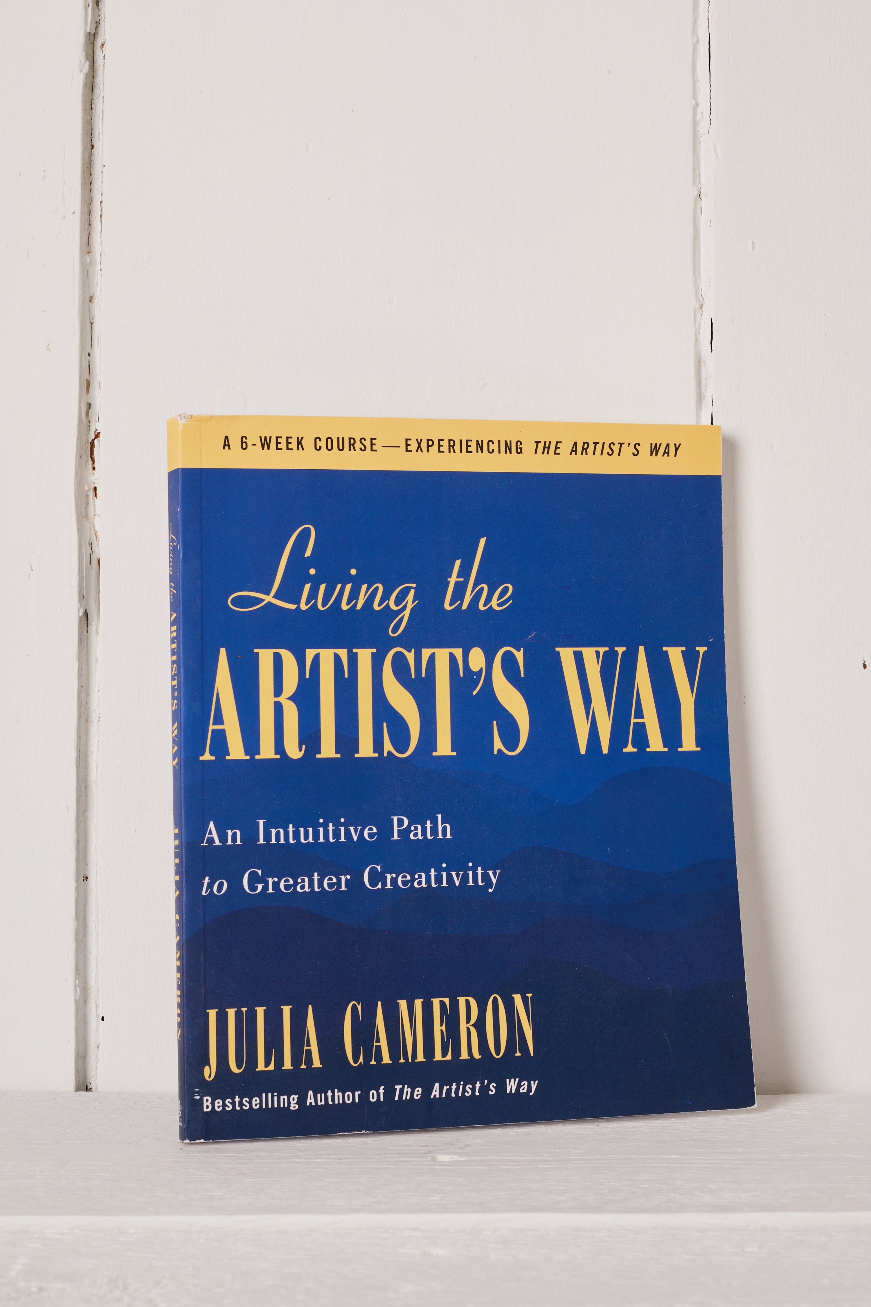 LIVING THE ARTIST WAY BOOK