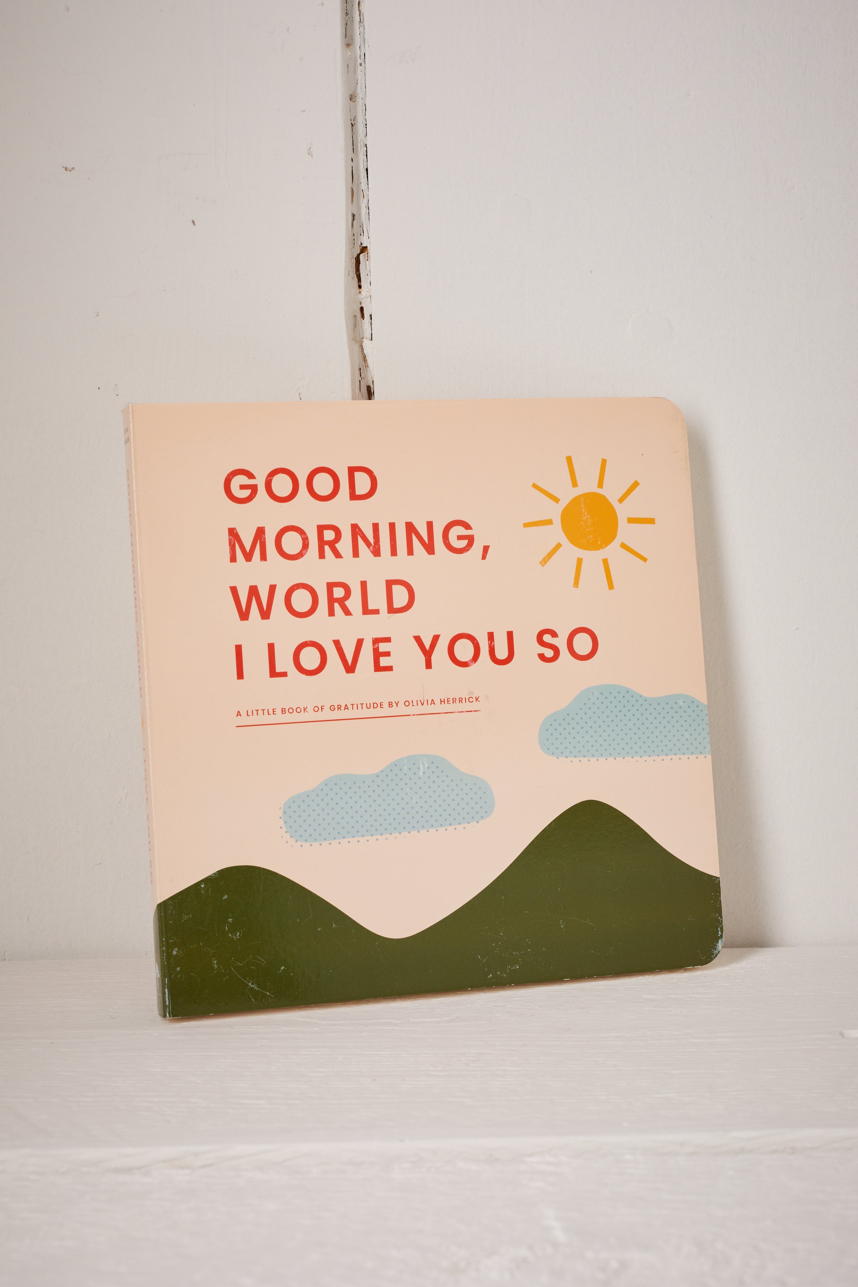 GOOD MORNING, WORLD I LOVE YOU SO BOOK