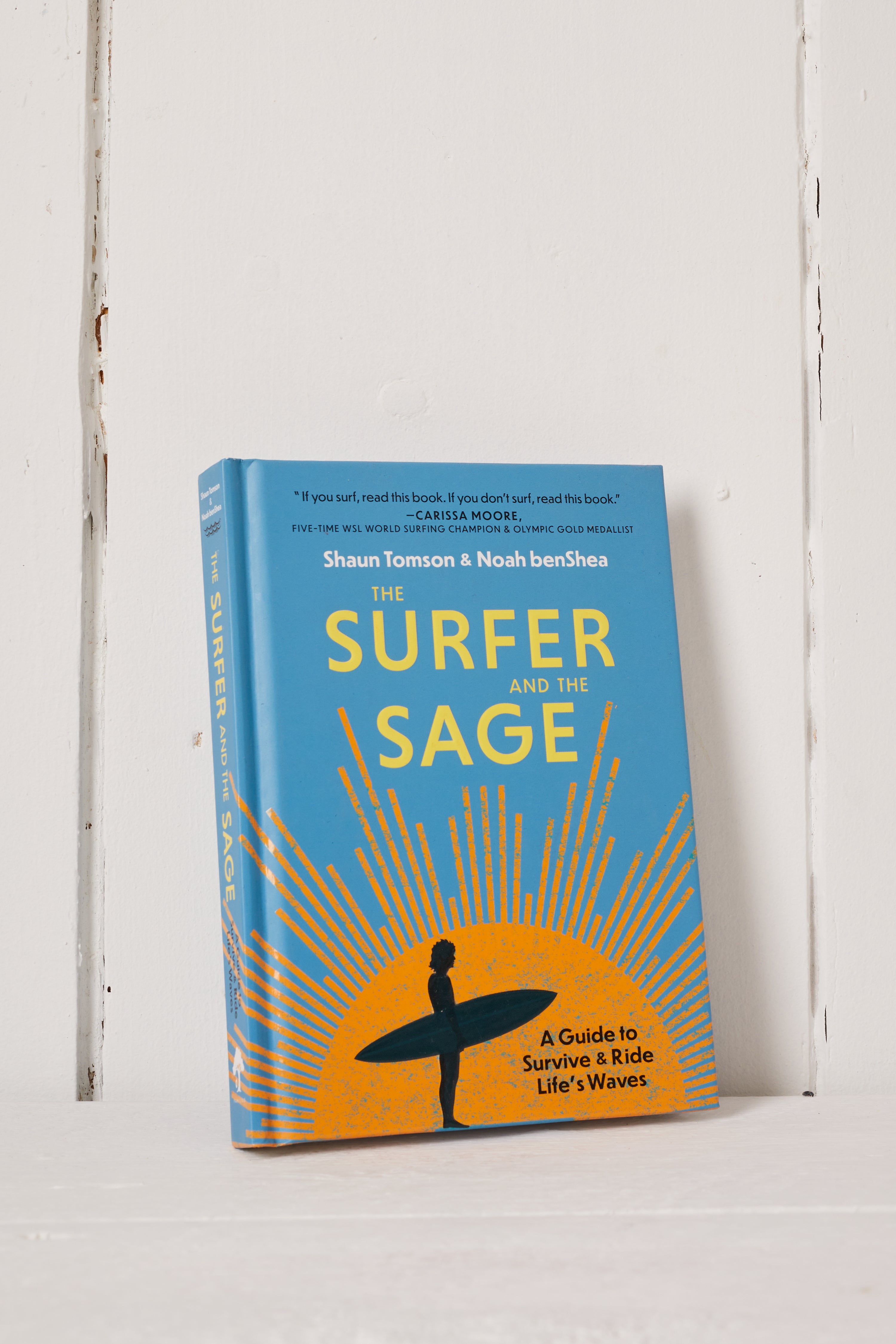 THE SURFER AND THE SAGE