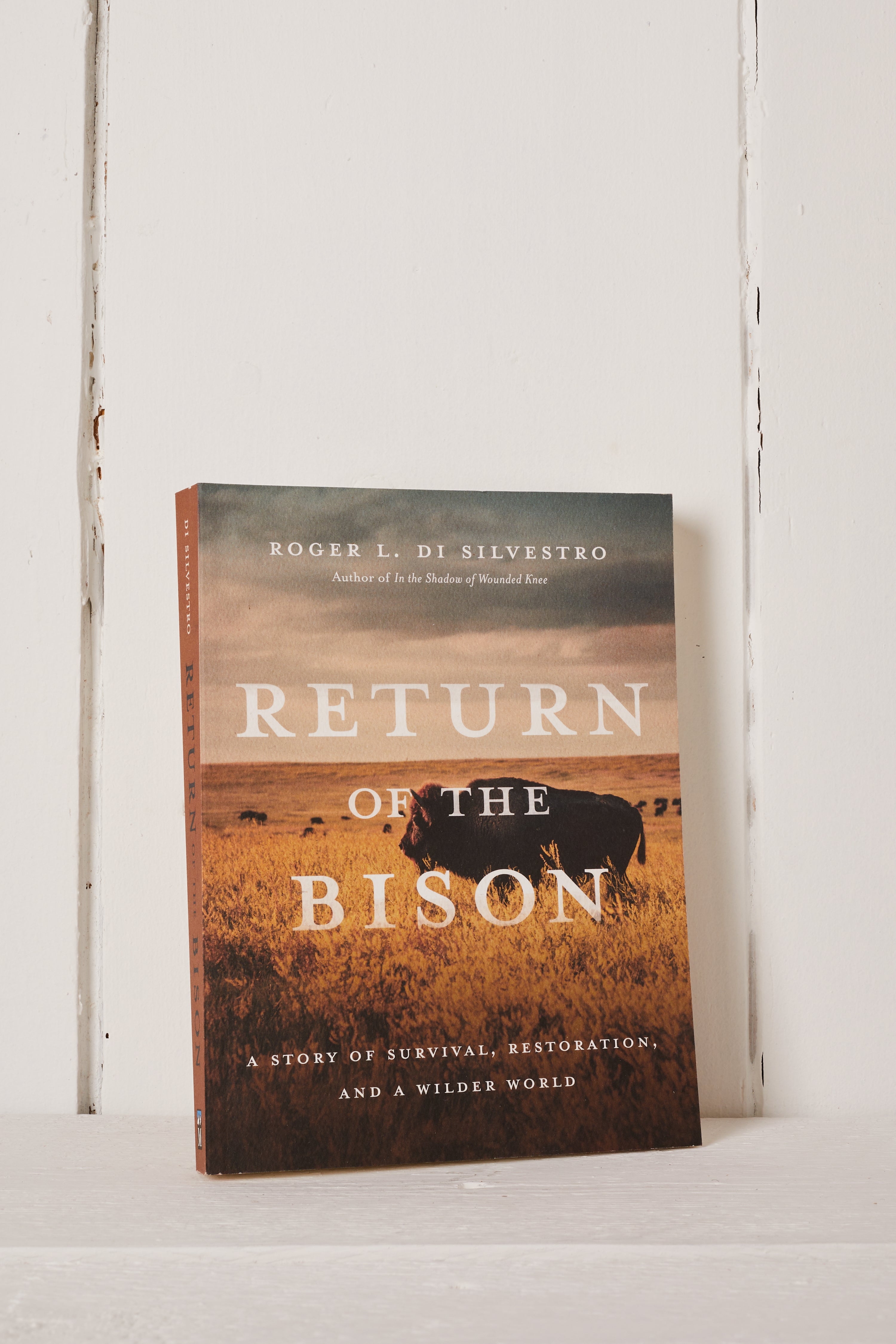 RETURN OF THE BISON BOOK