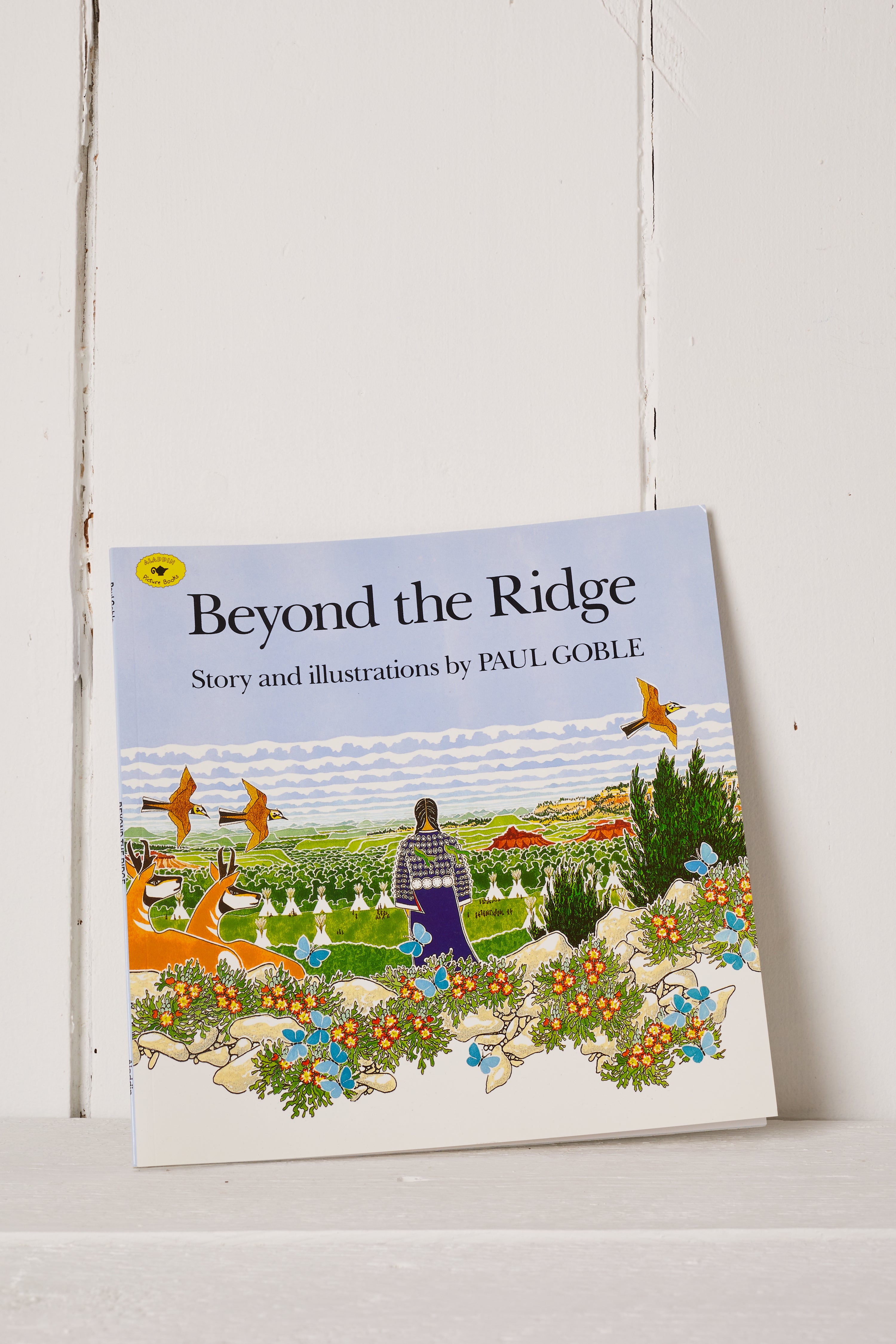 BEYOND THE RIDGE BOOK