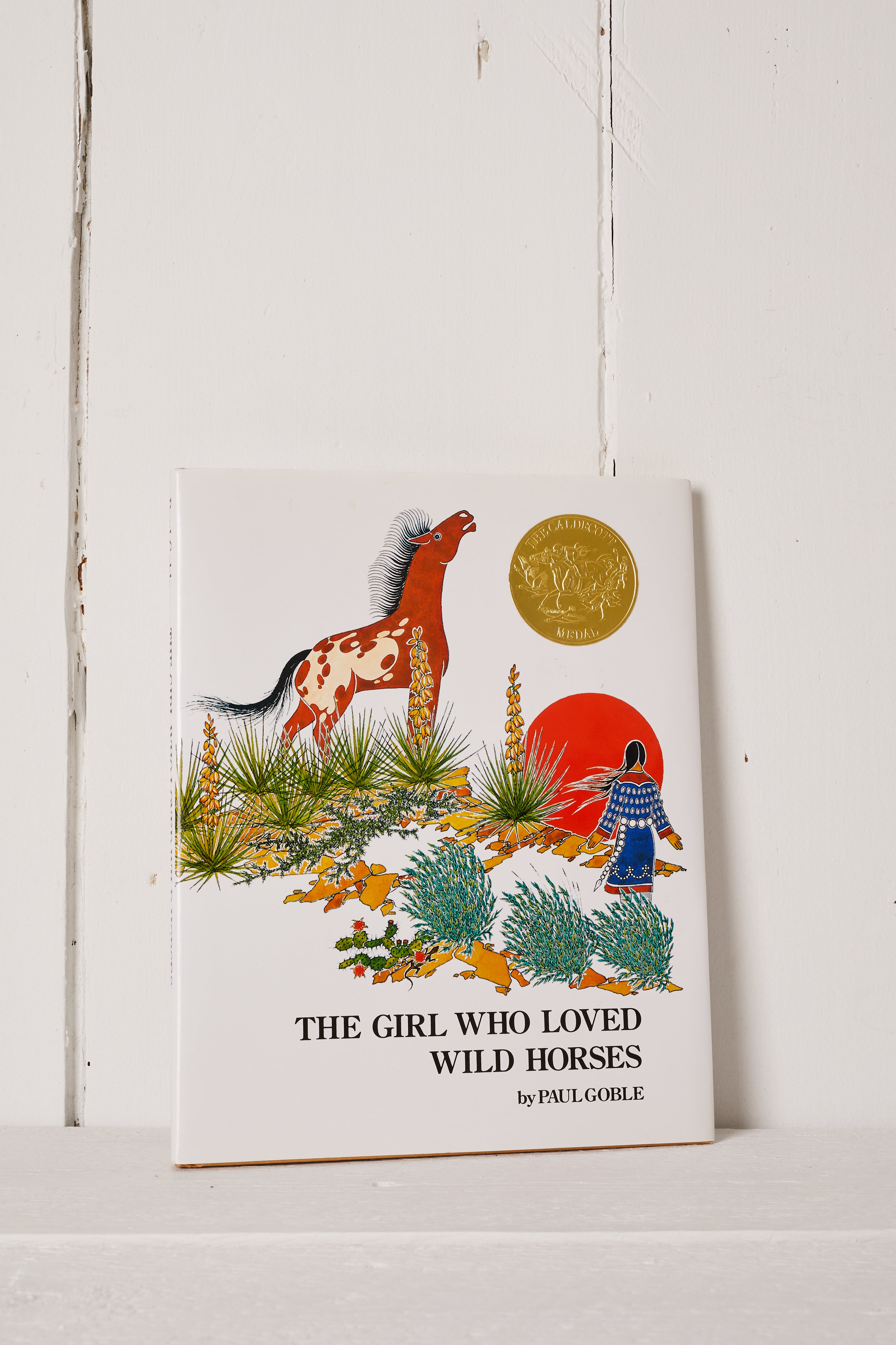 THE GIRL WHO LOVED WILD HORSES