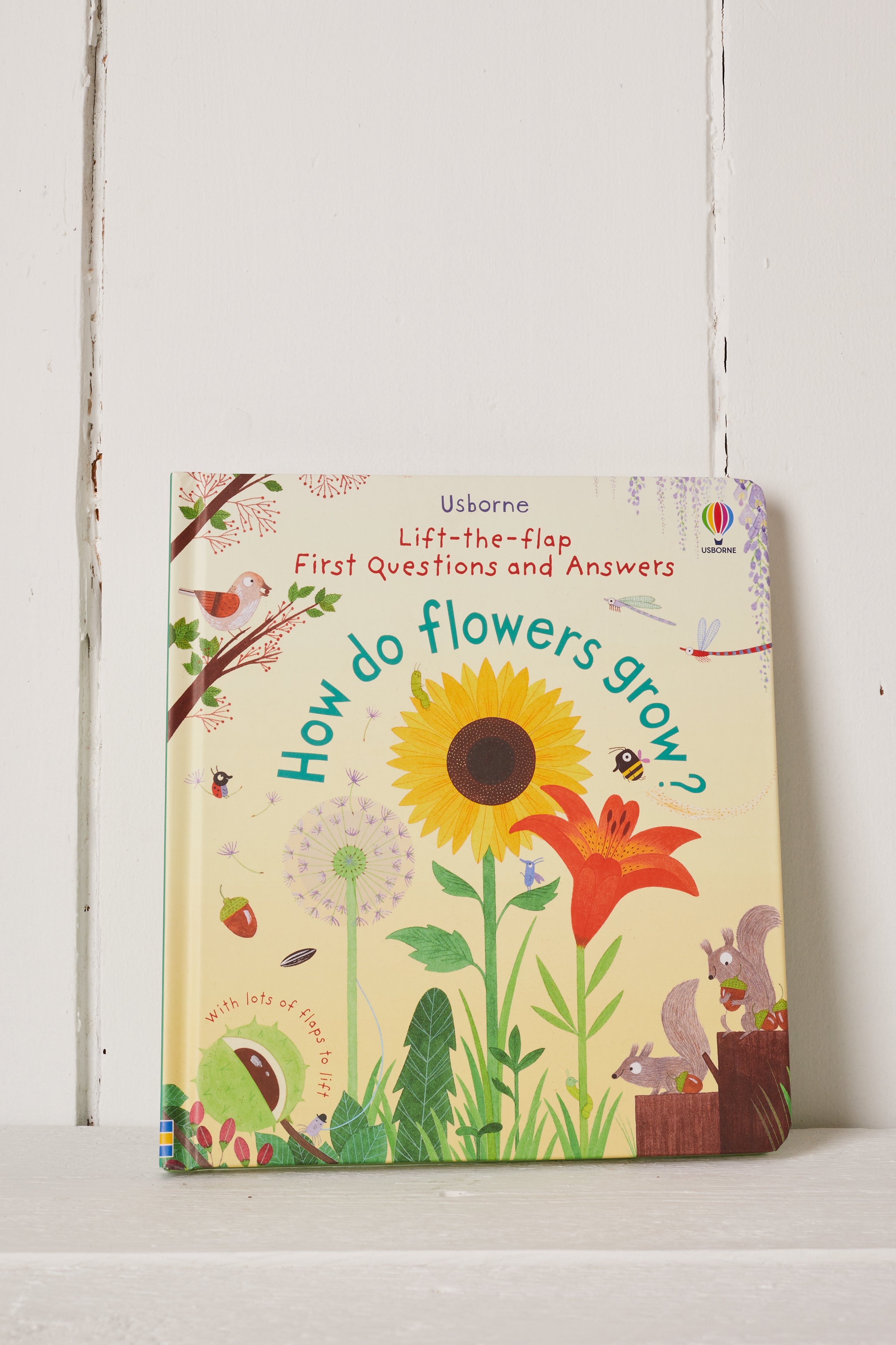 HOW DO FLOWERS GROW